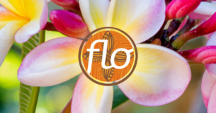 Flo - Pasifika for Life